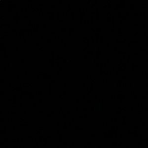 Meet your Posher, Abbie